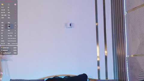 _dirty_bitch @ bongacams on 20250617