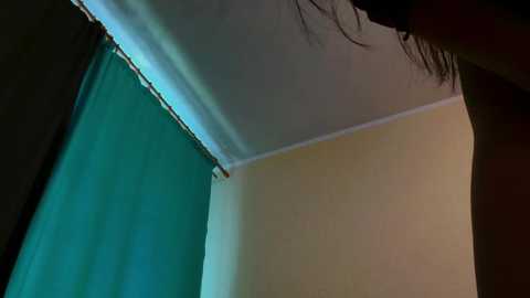 monkey104 @ bongacams on 20250617