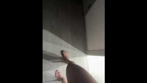 Media: 14osobovi88 Bongacams 2025-06-18 22:57:00