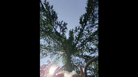 crazypussy07 @ bongacams on 20250618
