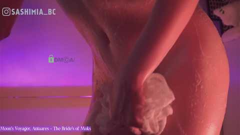 sashimia @ bongacams on 20250618