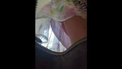 editamilf @ bongacams on 20250619
