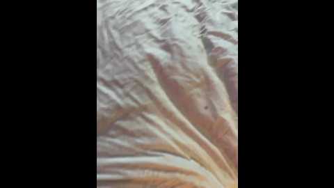 millemimi @ bongacams on 20250619