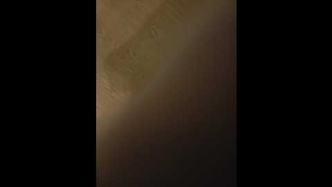 Media: wildpussy777 Bongacams 2025-06-20 01:48:00