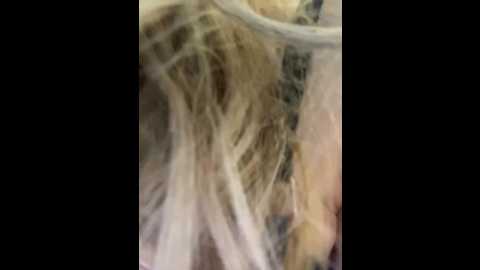 ellidi @ bongacams on 20250621