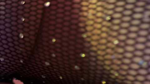 koketka @ bongacams on 20250621