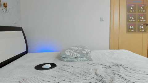 megan6969 @ bongacams on 20250623
