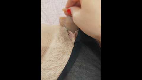 Media: viamm Bongacams 2025-06-24 15:27:00