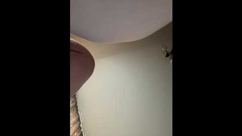 hellmor @ bongacams on 20250626