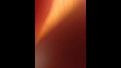 sutener69_1 @ bongacams on 20250626