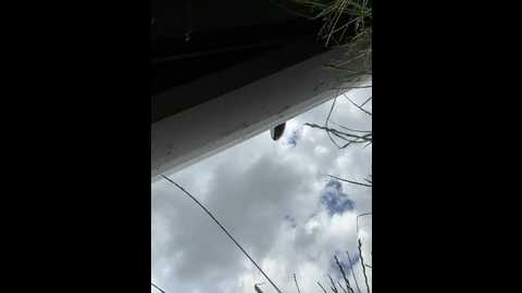 Media: _molly_mae_ Bongacams 2025-06-28 13:15:00