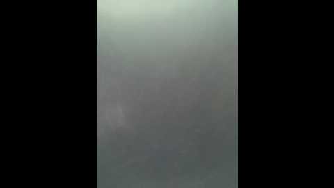 Media: sallyeleins Bongacams 2025-06-28 16:02:00