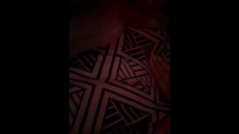 sponsorseksa @ bongacams on 20250629