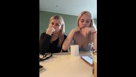 vibromashulkadashulka @ bongacams on 20250630