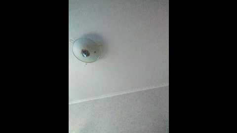 annaartem @ bongacams on 20250701