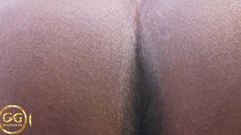 Media: ggmansion Bongacams 2025-07-03 14:30:00