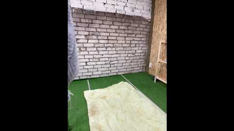 Media: _breid_1 Bongacams 2025-07-04 07:26:00