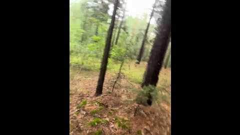 sexform0ney @ bongacams on 20250707