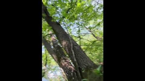 markaa0 @ bongacams on 20250708