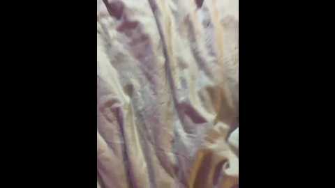 millemimi @ bongacams on 20250709
