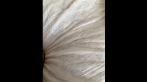 Media: girl_and_boy007 Bongacams 2025-07-12 11:24:00