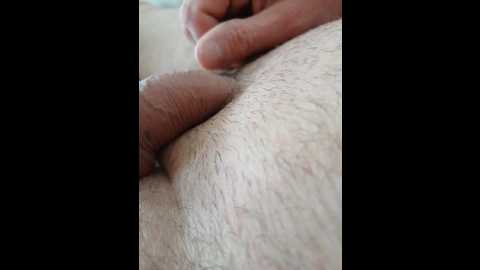 oksy3 @ bongacams on 20250712