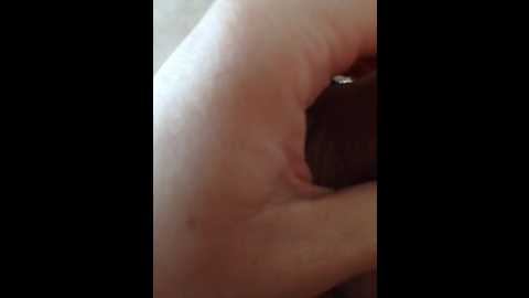 oksy3 @ bongacams on 20250712