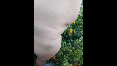 rosfair @ bongacams on 20250712