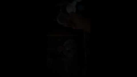 xxxklsdf @ bongacams on 20250712
