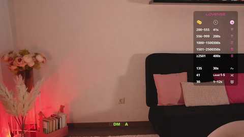 cockisa @ bongacams on 20250713