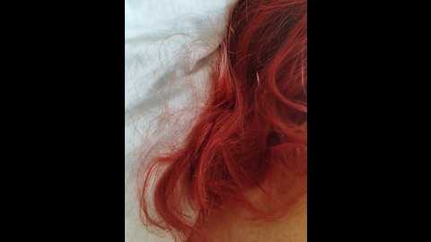 super_couple @ bongacams on 20250713