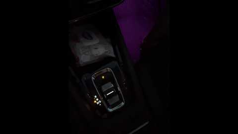 two_loves1 @ bongacams on 20250713