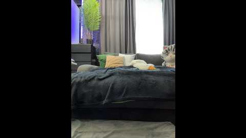 vero19nika @ bongacams on 20250715