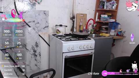 dvabomja @ bongacams on 20250716