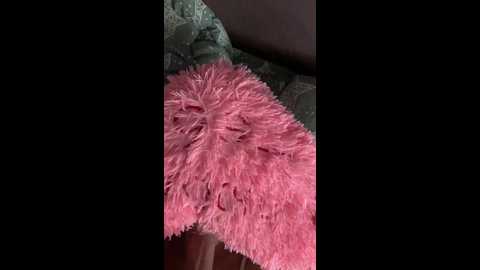 firepussyy @ bongacams on 20250716