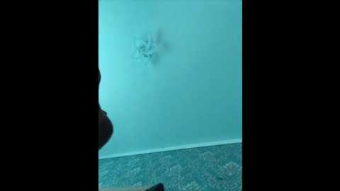 mishania38 @ bongacams on 20250717