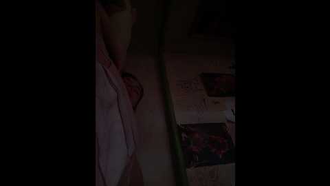 terri_and_kyle @ bongacams on 20250718