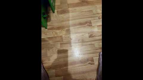 mikamir @ bongacams on 20250721