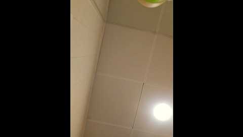 mr_and_mrs_smith_xxl @ bongacams on 20250721