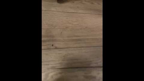 slimus69 @ bongacams on 20250722