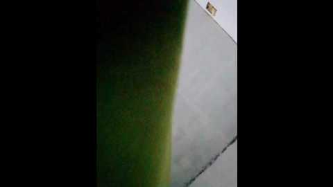 laef1881 @ bongacams on 20250723