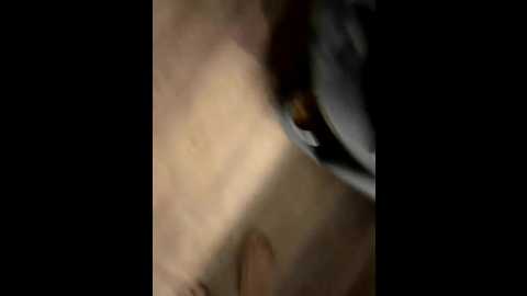tvoya666wlyuha @ bongacams on 20250725