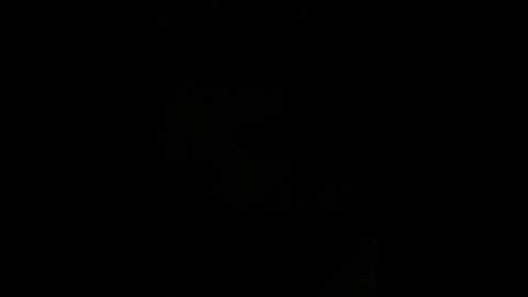 dominica888 @ bongacams on 20250727
