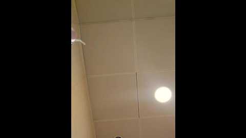mr_and_mrs_smith_xxl @ bongacams on 20250728
