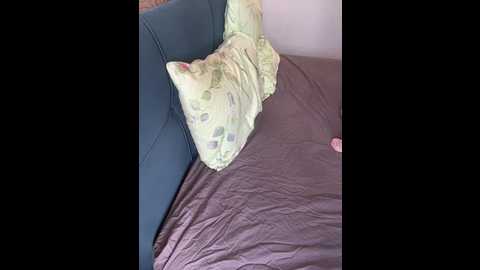 163volga @ bongacams on 20250729