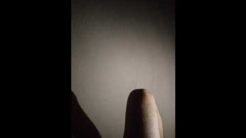 Media: andre4516 Bongacams 2025-07-29 23:15:00