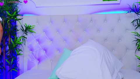 ariannasins @ bongacams on 20250729