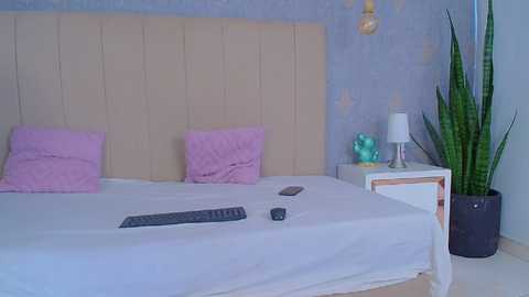 sweettparadise_vc @ bongacams on 20250729
