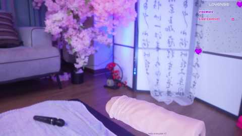 marry_cordy @ bongacams on 20250730