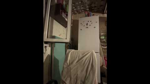 verybaby @ bongacams on 20250731